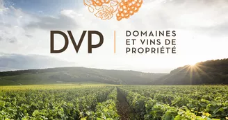 DVP - Domaines & Vins de Propriété