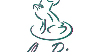Riva logo classique Riva logo classique