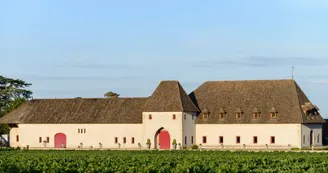 Chateau de Marsanay- Chateau de Marsanay-